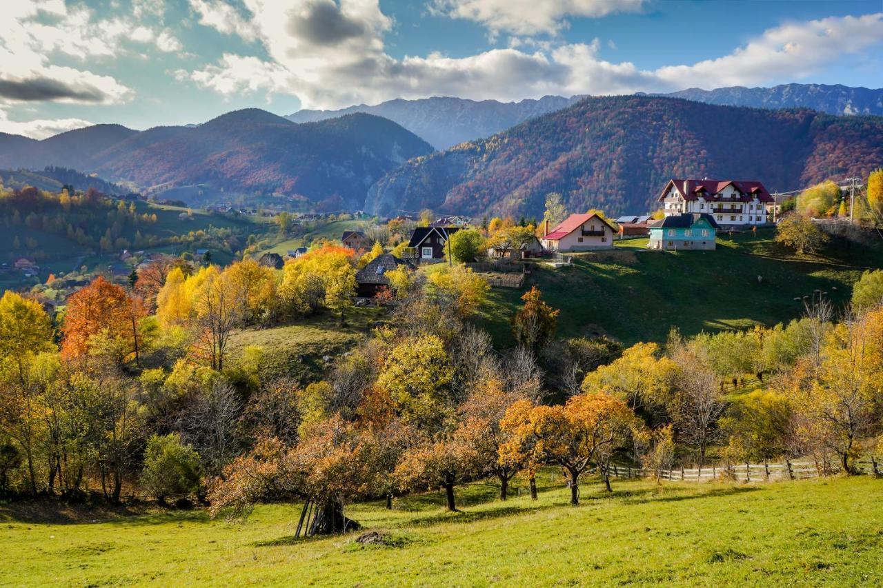 Pensiunea Hodaita Măgura Exteriér fotografie
