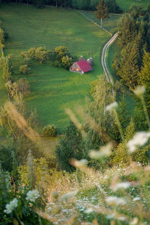 Pensiunea Hodaita Măgura Exteriér fotografie