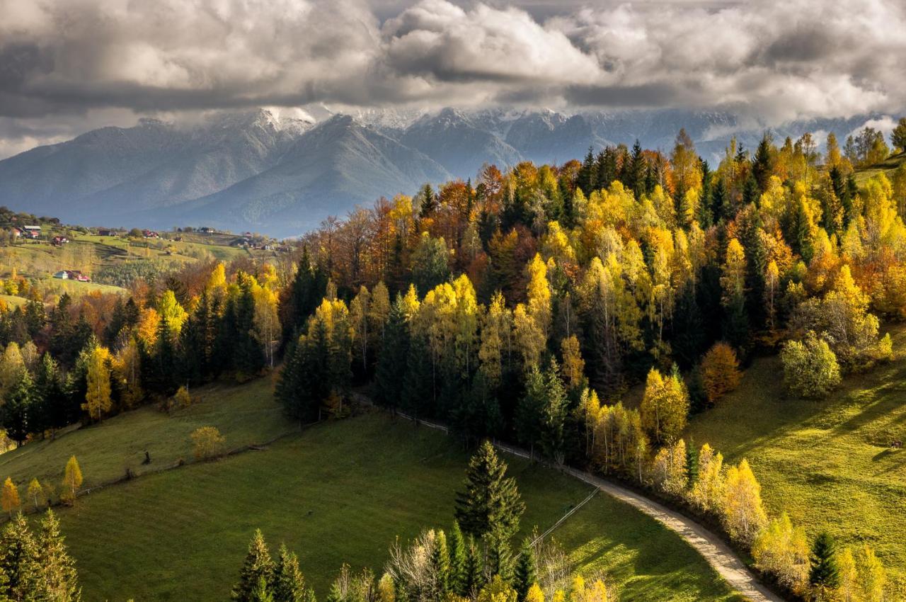 Pensiunea Hodaita Măgura Exteriér fotografie