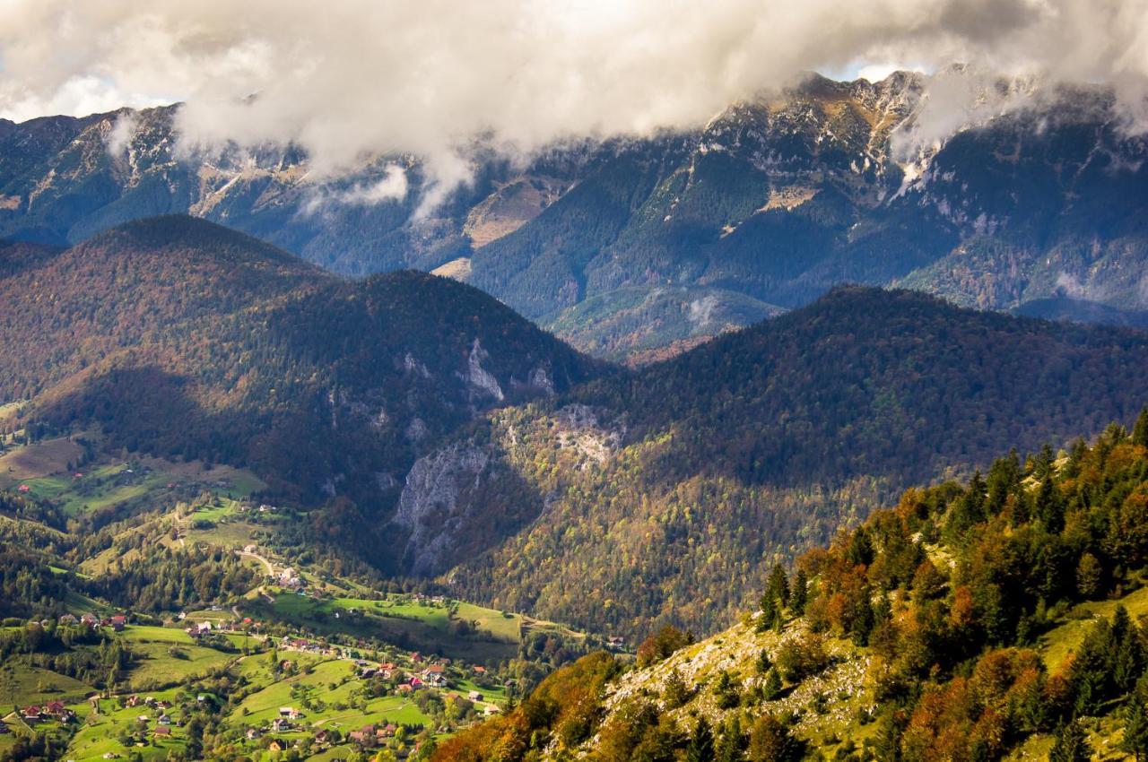 Pensiunea Hodaita Măgura Exteriér fotografie