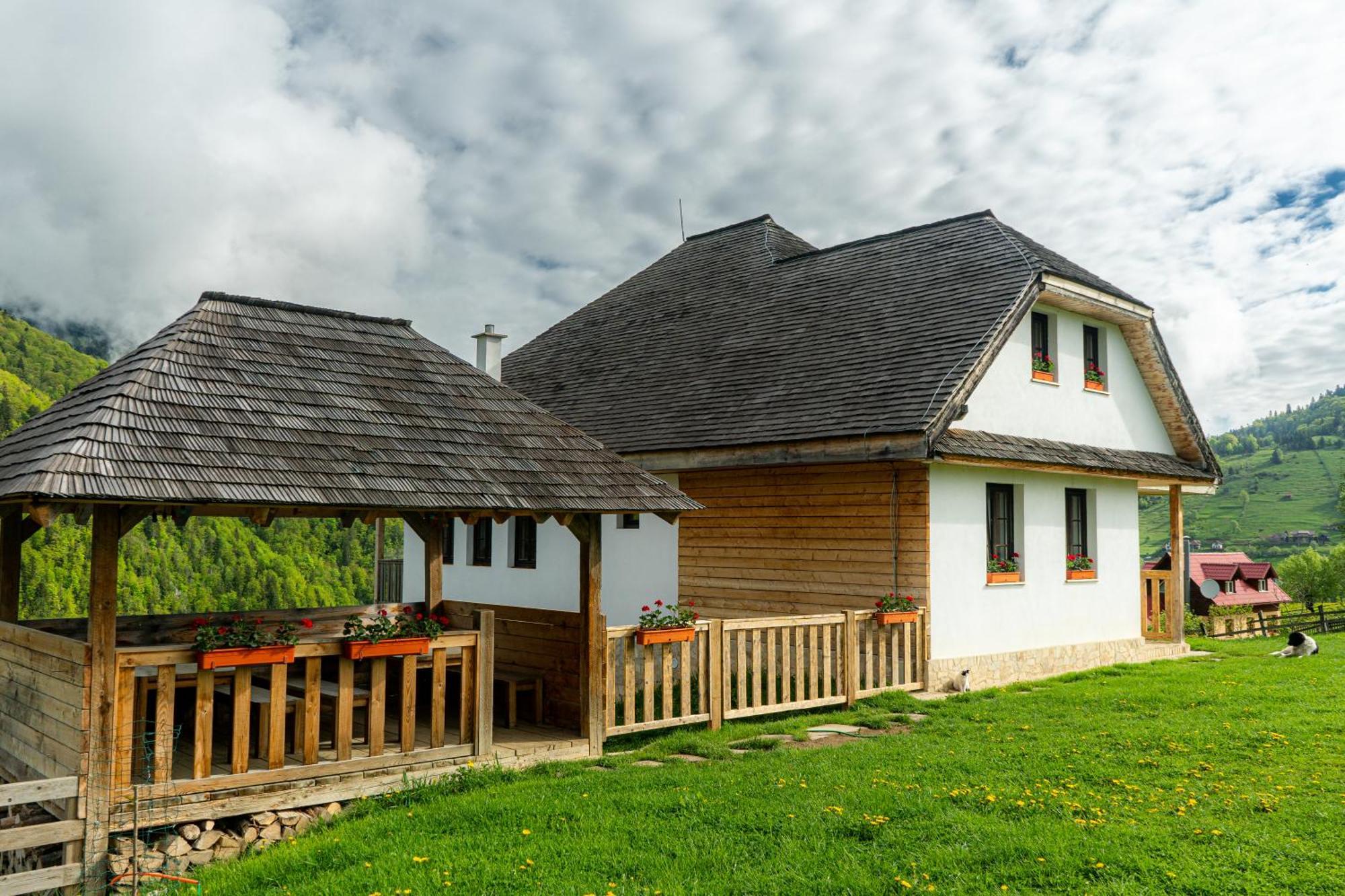 Pensiunea Hodaita Măgura Exteriér fotografie